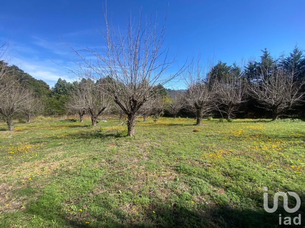 Se Vende Terreno en Circuito Las Peras, San Cristóbal de Las Casas