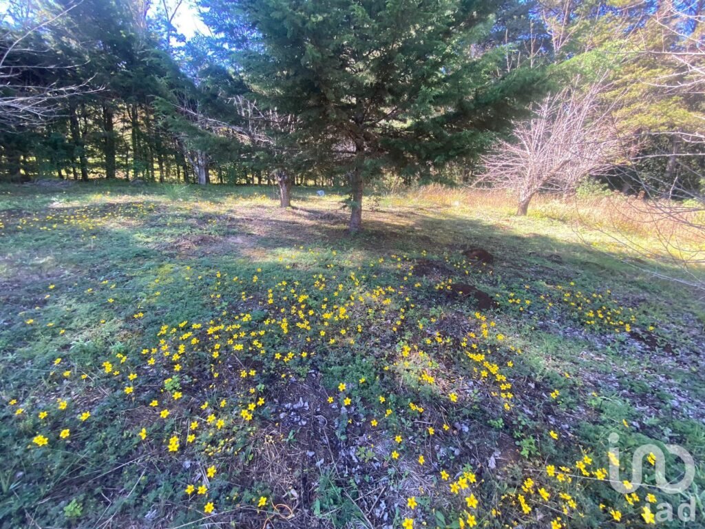 Se Vende Terreno en Circuito Las Peras, San Cristóbal de Las Casas