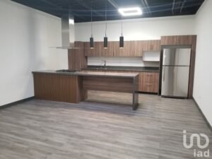 Departamento Nuevo Ejecutivo Equipado Departamento Nuevo Ejecutivo Equipado