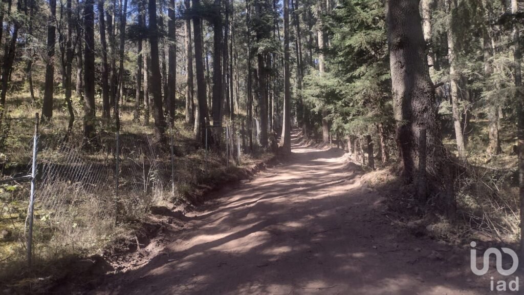 SE VENDE FINCA CAMPESTRE EN REAL DEL MONTE HIDALGO