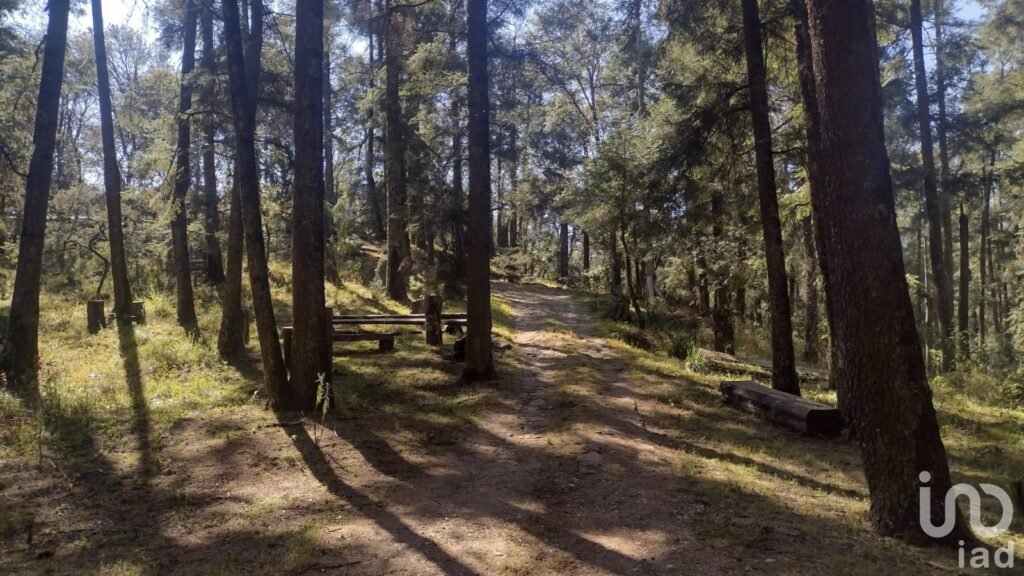 SE VENDE FINCA CAMPESTRE EN REAL DEL MONTE HIDALGO