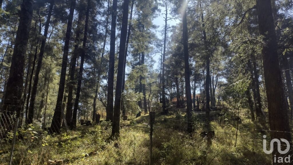 SE VENDE FINCA CAMPESTRE EN REAL DEL MONTE HIDALGO