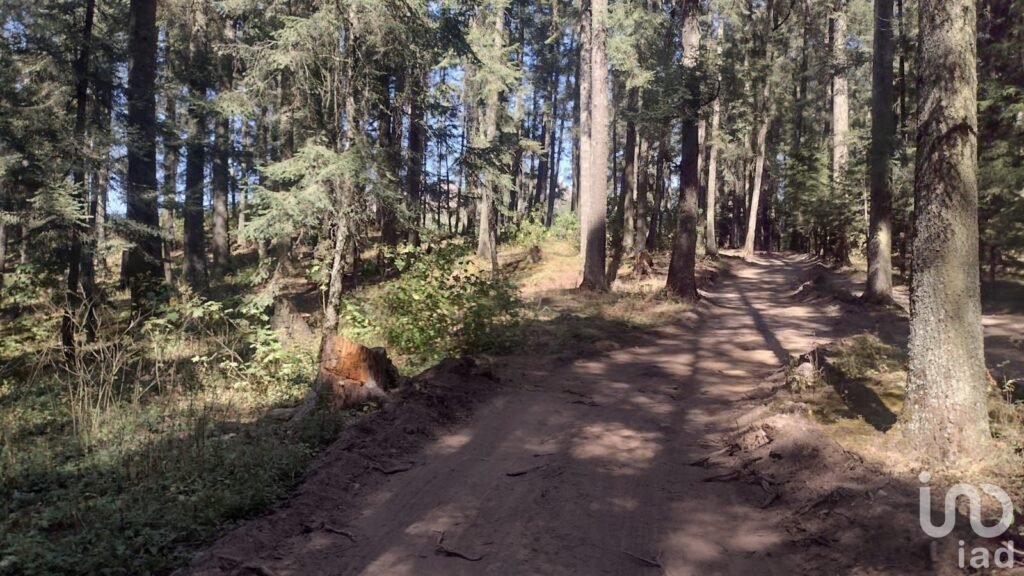 SE VENDE FINCA CAMPESTRE EN REAL DEL MONTE HIDALGO