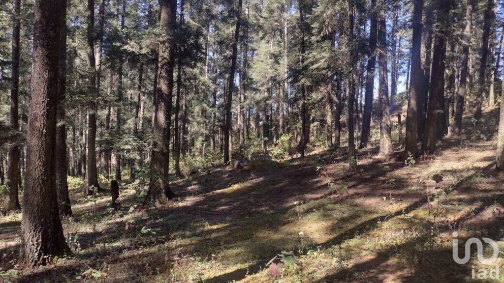 SE VENDE FINCA CAMPESTRE EN REAL DEL MONTE HIDALGO