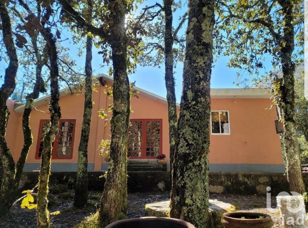 SE VENDE FINCA CAMPESTRE EN REAL DEL MONTE HIDALGO