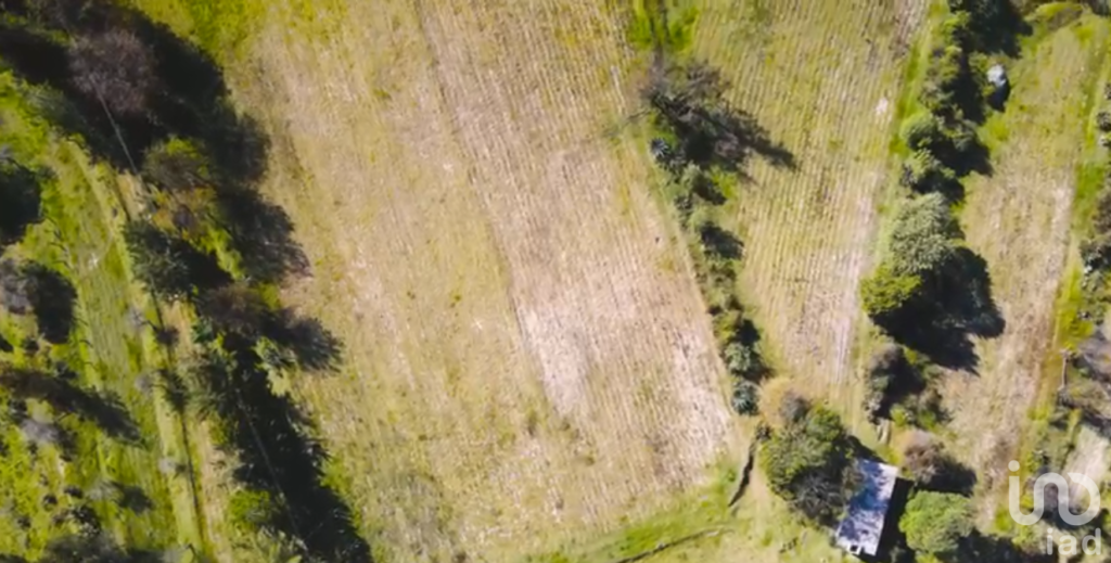 VENTA DE LOTE EN EL BOSQUE DE HUASCA