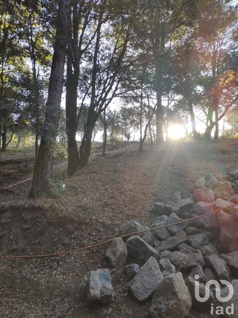 VENTA DE LOTE EN EL BOSQUE DE HUASCA