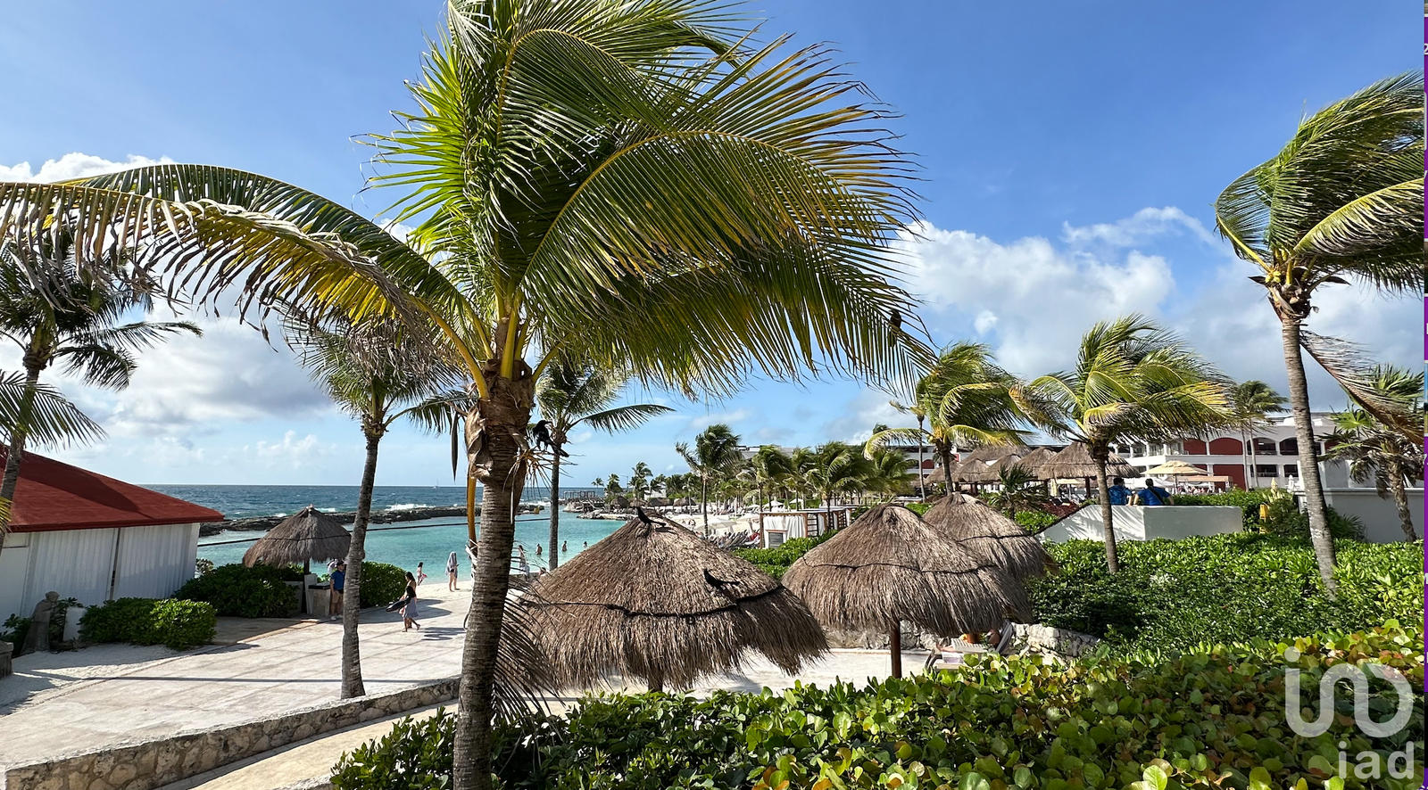 PREVENTA Estudio Coco Beach III Playa del Carmen