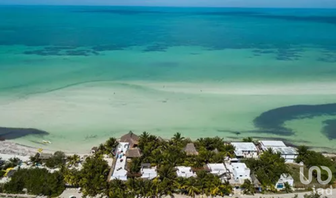 Terreno en Venta en Holbox