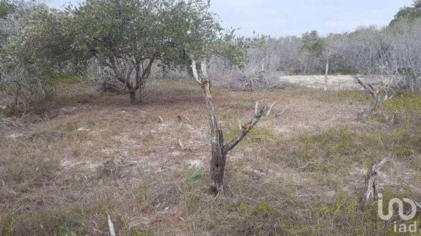 Terreno en Venta en Holbox