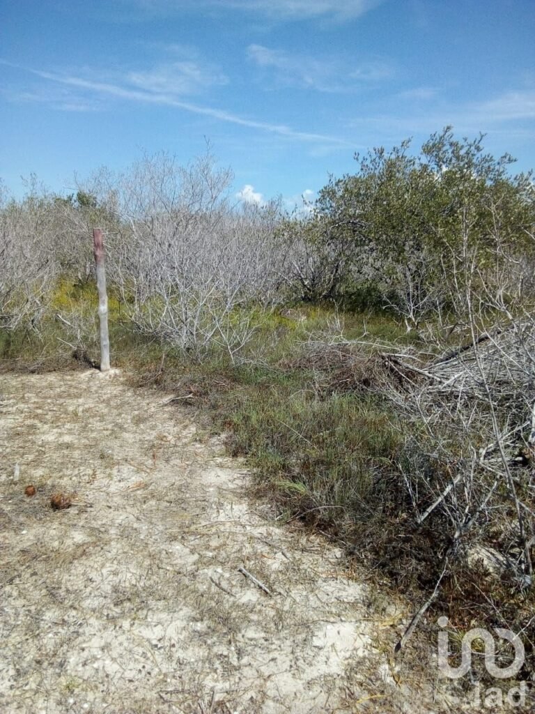 Terreno en Venta en Holbox