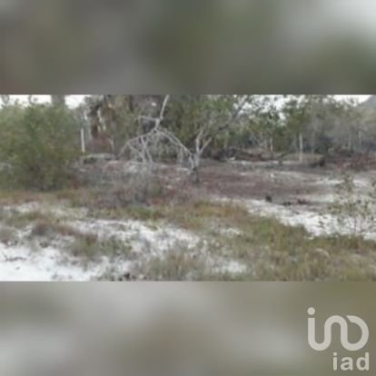 Terreno en Venta en Holbox