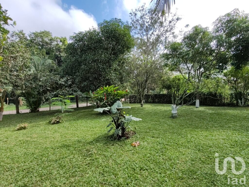 Terreno en venta en el Ejido Santa Ana, Manlio Favio Altamirano, Veracruz
