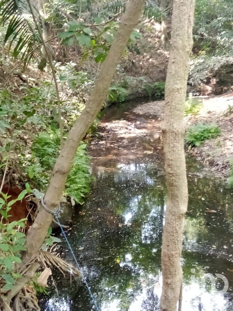 Terreno en venta en el Ejido Santa Ana, Manlio Favio Altamirano, Veracruz
