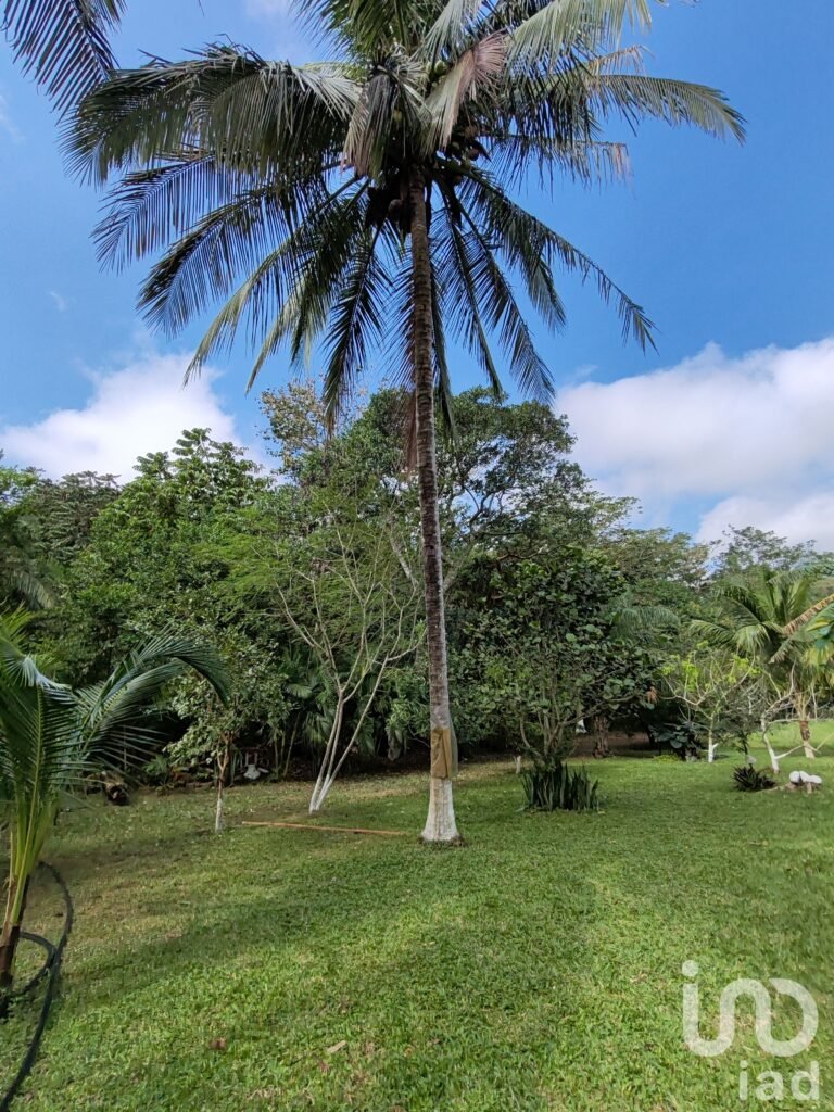 Terreno en venta en el Ejido Santa Ana, Manlio Favio Altamirano, Veracruz
