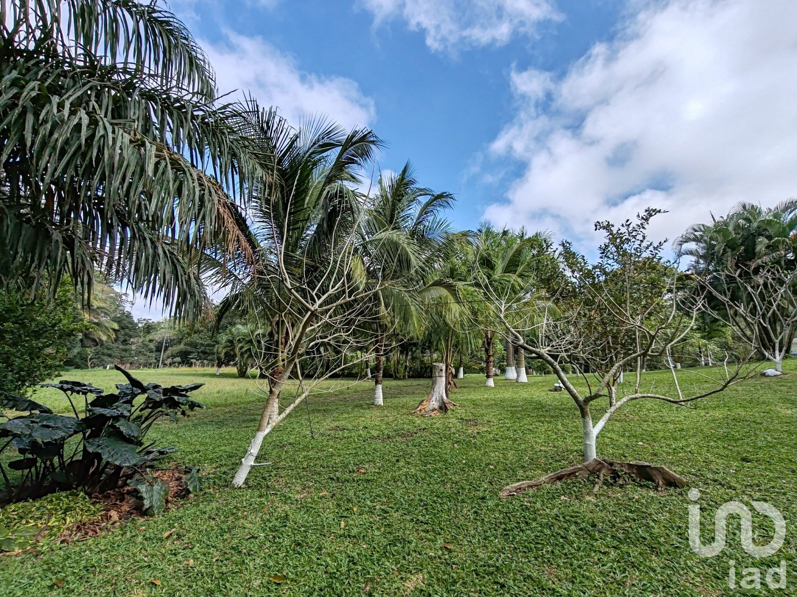 Terreno en venta en el Ejido Santa Ana, Manlio Favio Altamirano, Veracruz