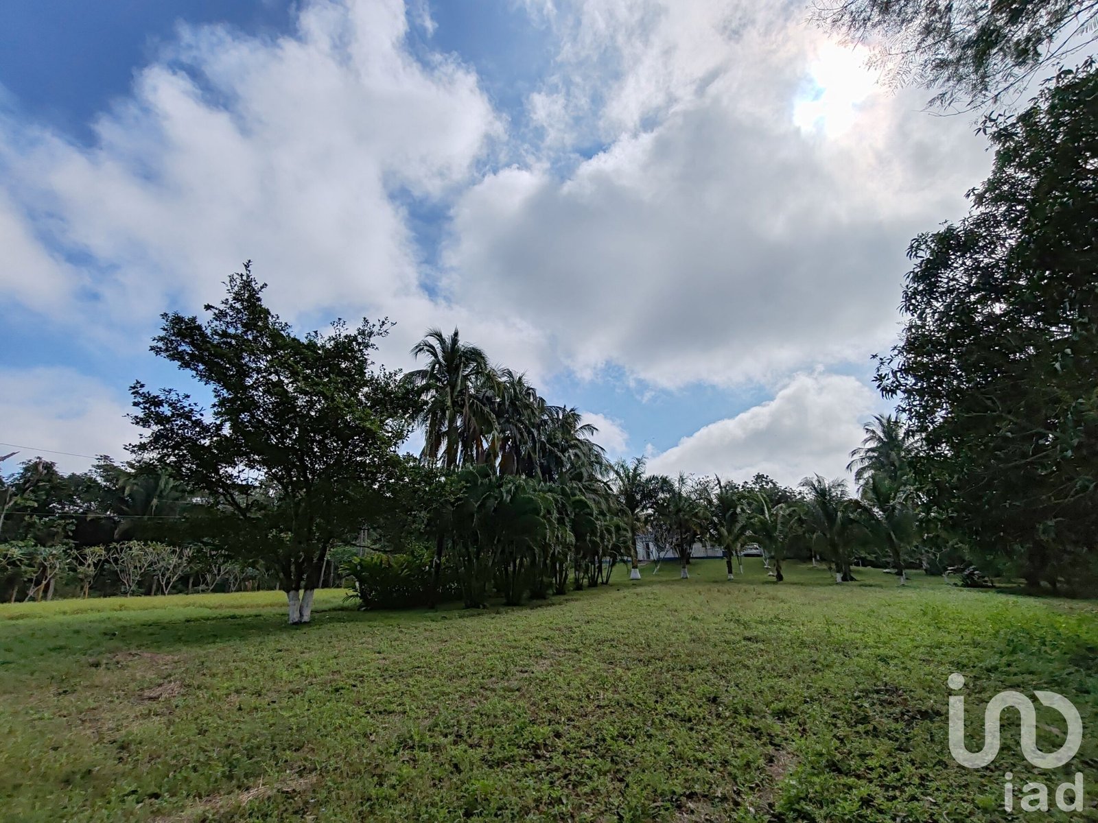 Terreno en venta en el Ejido Santa Ana, Manlio Favio Altamirano, Veracruz