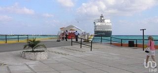 Venta 100 He. de terrene, Ctra Mahahual-Xcalac km 26.5,  Othon  Q.R.