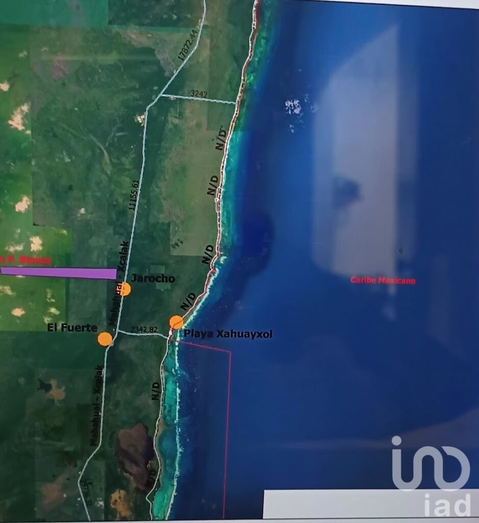 Venta 100 He. de terrene, Ctra Mahahual-Xcalac km 26.5,  Othon  Q.R.