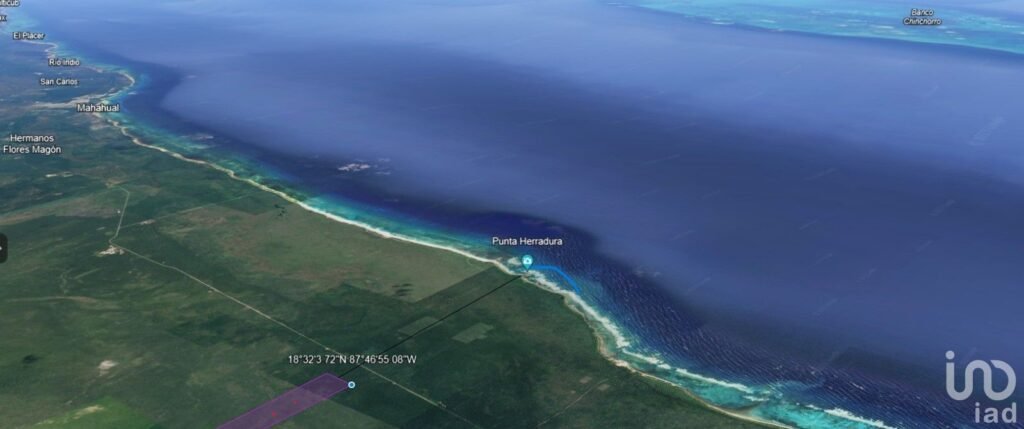 Venta 100 He. de terrene, Ctra Mahahual-Xcalac km 26.5,  Othon  Q.R.