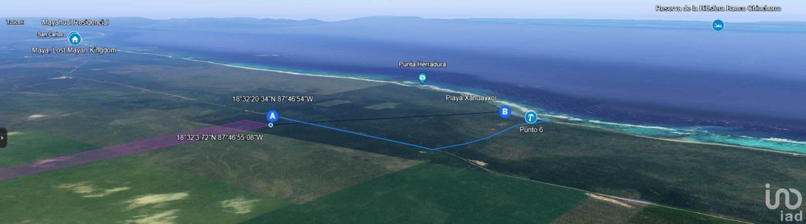 Venta 100 He. de terrene, Ctra Mahahual-Xcalac km 26.5,  Othon  Q.R.