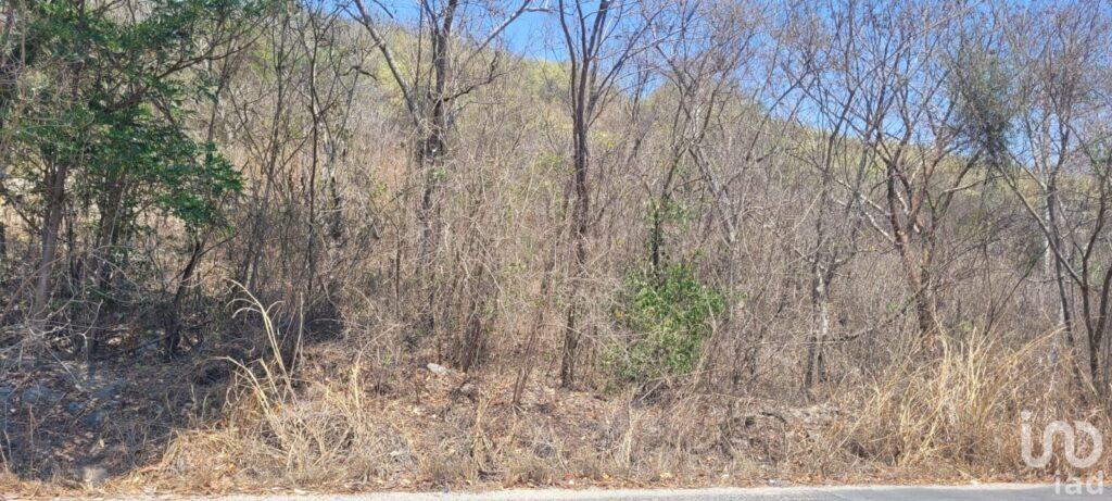 OPORTUNIDAD UNICA TERRENO DESARROLLAR CON VOLUMEN EXPLOTACIÓN PÉTREO 1,069,988 M3 EN VARIAS ETAPAS