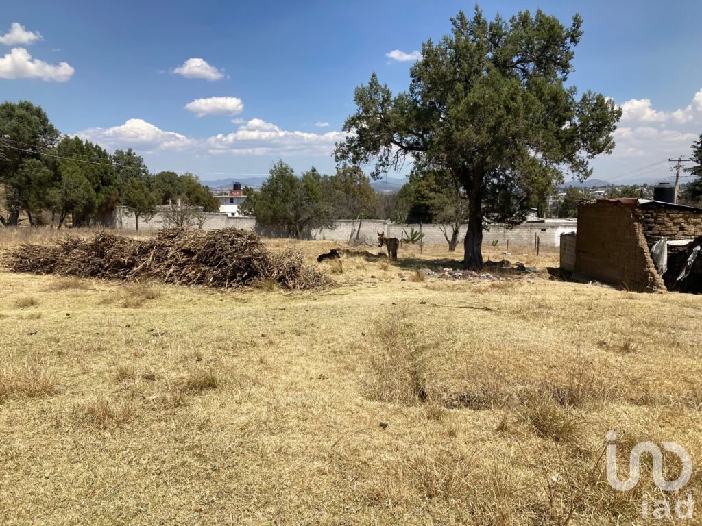 Terreno en Venta en San Simón Tlatlahuquitepec, Xaltocan, Tlaxcala