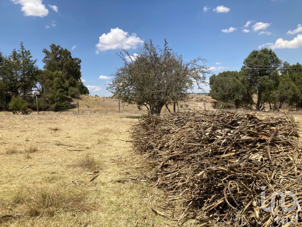 Terreno en Venta en San Simón Tlatlahuquitepec, Xaltocan, Tlaxcala