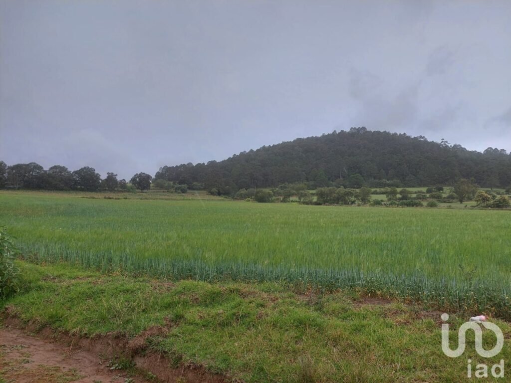 TERRENO EN VENTA PARA SIEMBRA EN CUAUTEPEC ,HIDALGO