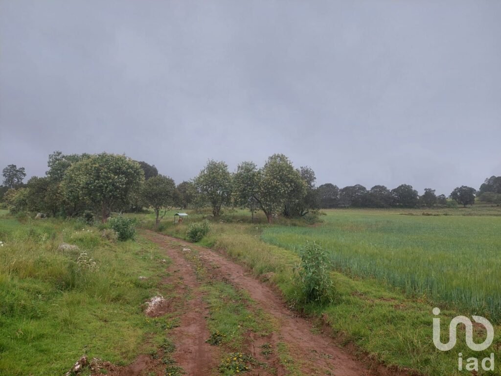 TERRENO RUSTICO PARA SIEMBRA EN VENTA EN CUAUTEPEC,HIDALGO