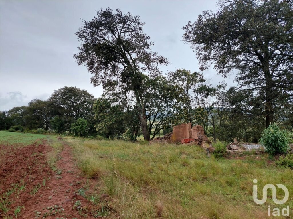 TERRENO RUSTICO PARA SIEMBRA EN VENTA EN CUAUTEPEC,HIDALGO