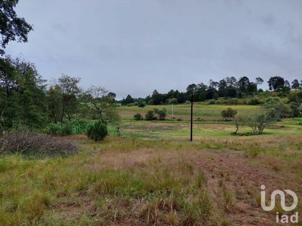 TERRENO RUSTICO PARA SIEMBRA EN VENTA EN CUAUTEPEC,HIDALGO