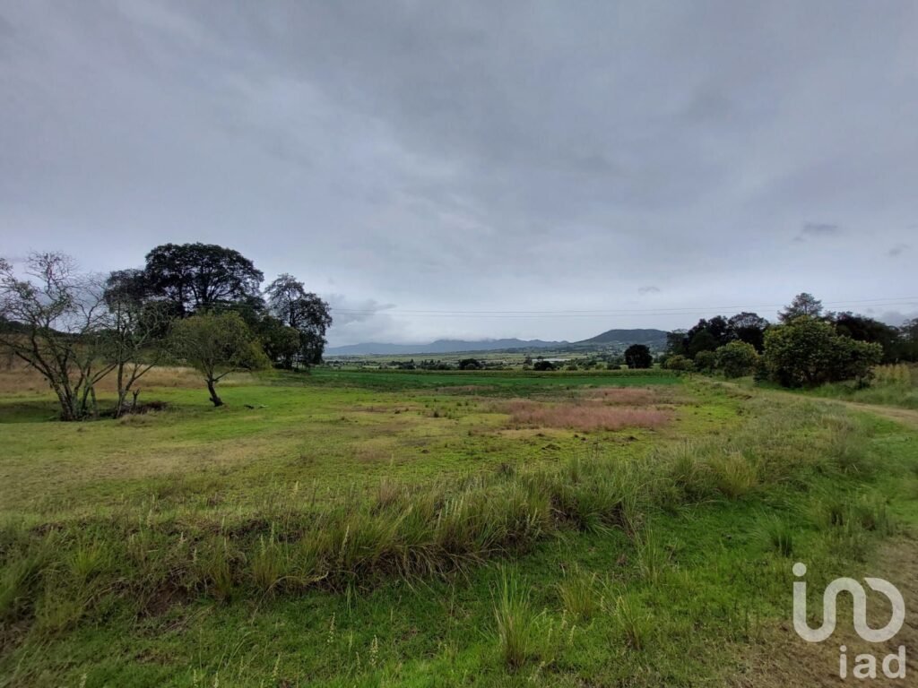 TERRENO RUSTICO PARA SIEMBRA EN VENTA EN CUAUTEPEC,HIDALGO