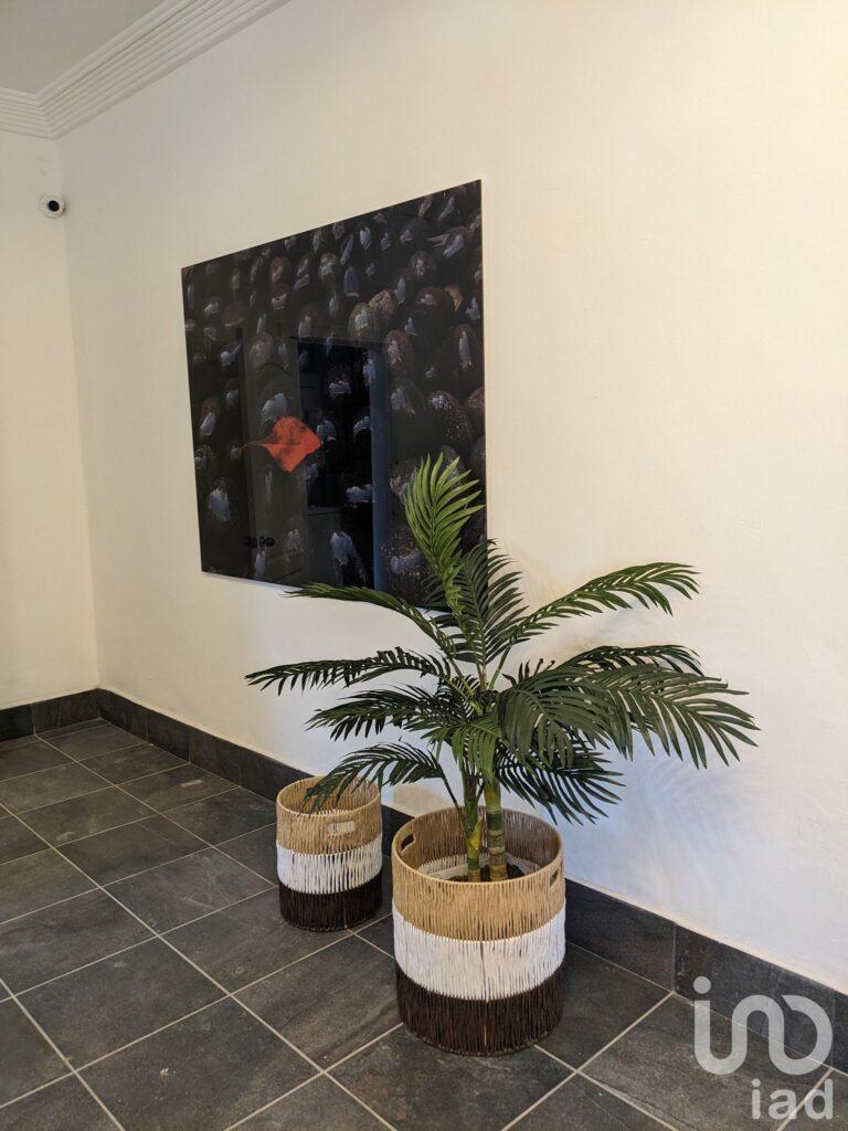 DEPARTAMENTO EN RENTA AMUEBLADO PARTIDO ROMERO CD. JUAREZ CHIHUAHUA