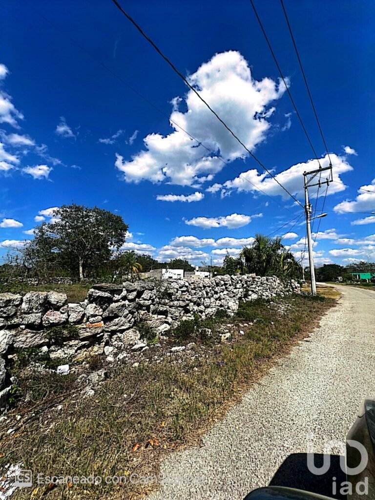 Venta de Terreno en Kinchil a 48 meses