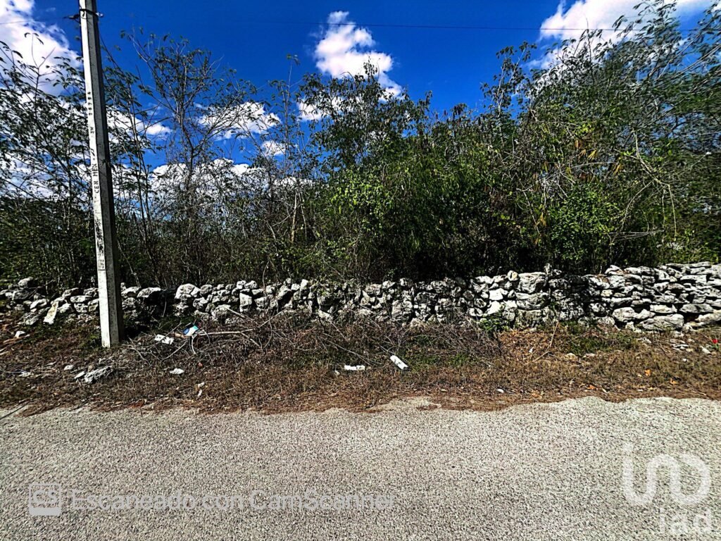 Venta de Terreno en Kinchil a 48 meses