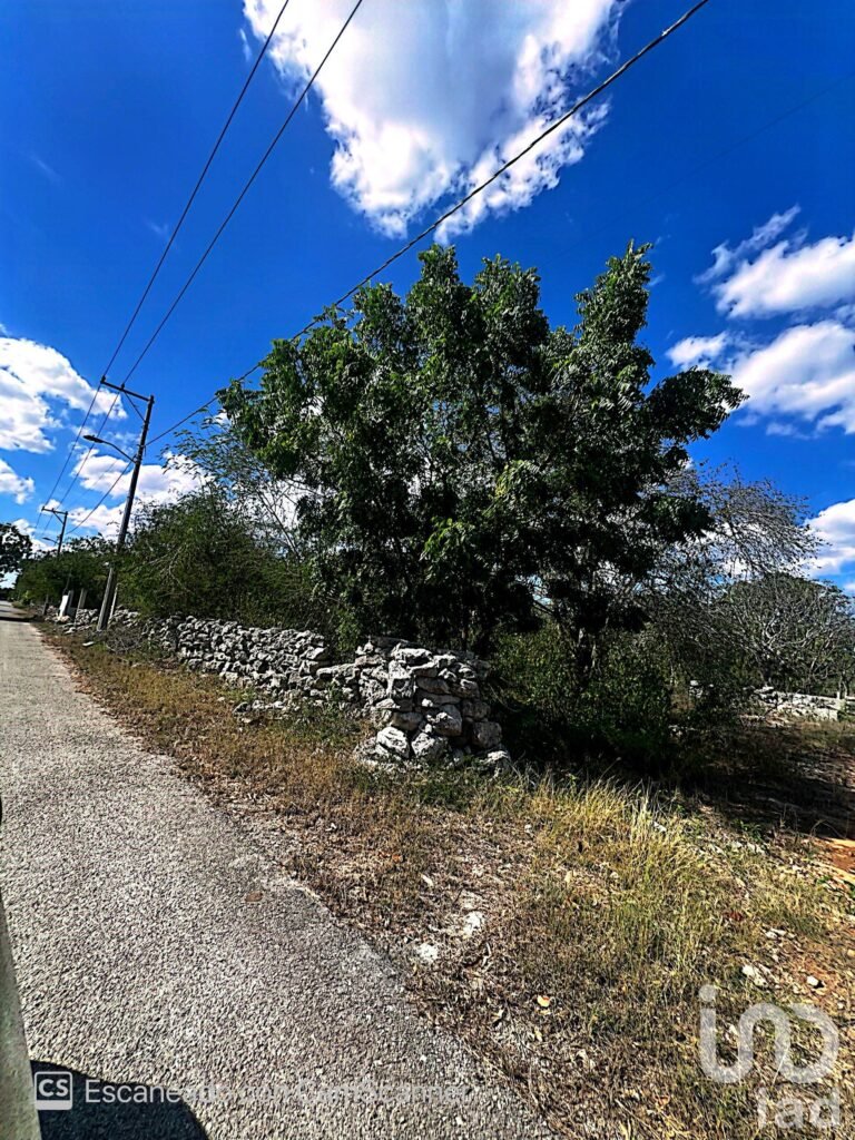 Venta de Terreno en Kinchil a 48 meses