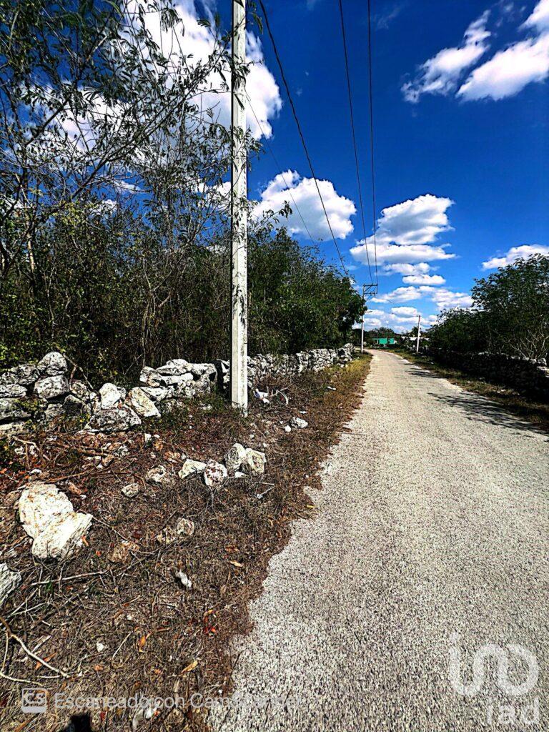 Venta de Terreno en Kinchil a 52 meses.