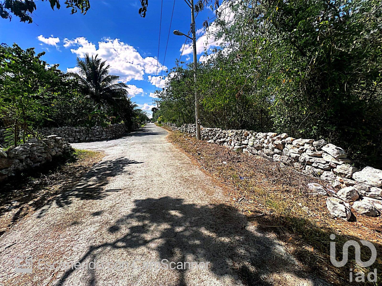 Venta de Terreno en Kinchil a 52 meses.