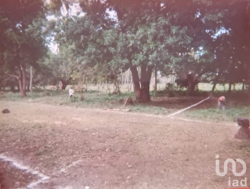 EN VENTA TERRENOS RÚSTICOS EN ACAPULCO, EXCELENTE UBICACIÓN.