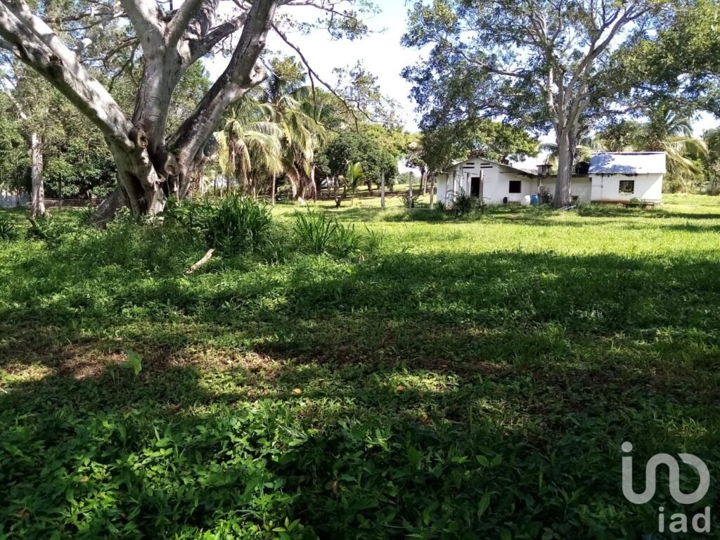 TERRENO CAMPESTRE EN VENTA DESARROLLO PLAZA DE TOROS, PASO DEL TORO, MEDELLÍN DE BRAVO, VER.