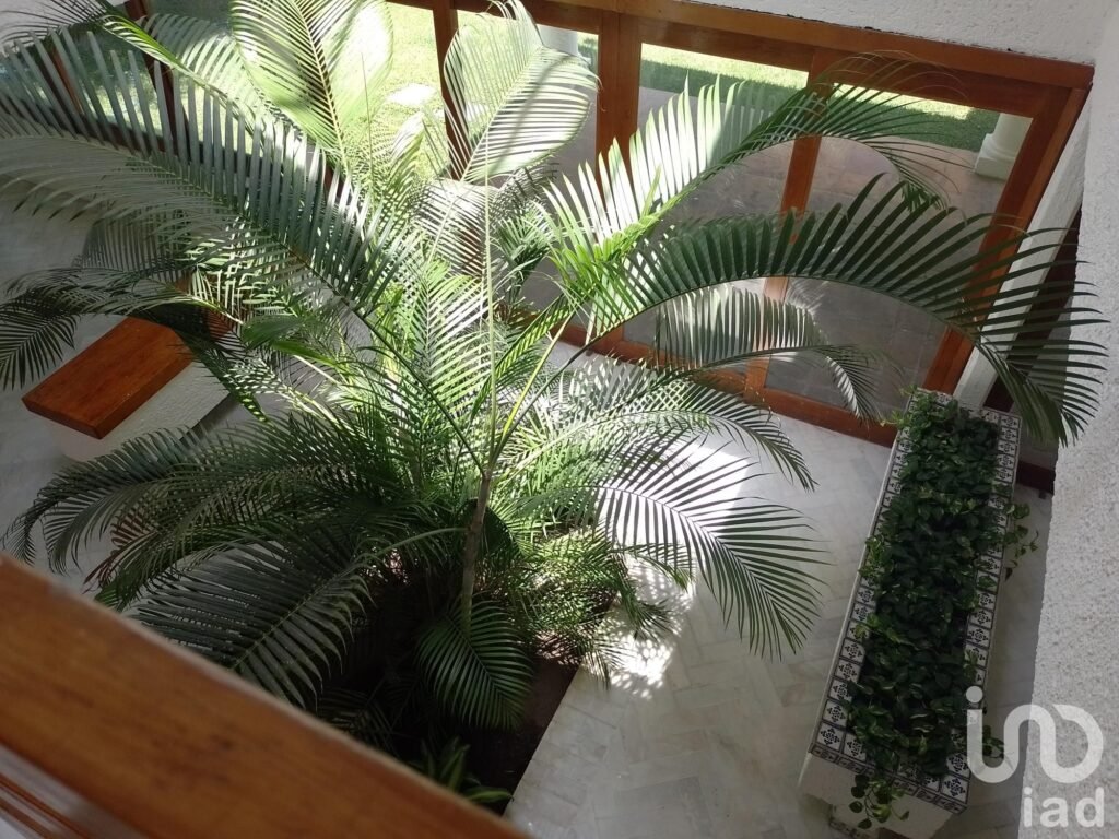 Casa en Venta Zona Dorada - Vista Hermosa, Cuernavaca, Morelos.