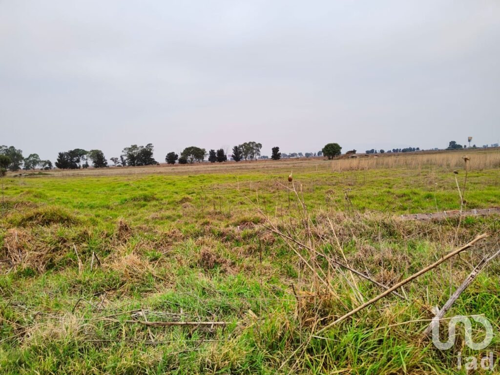 TERRENO EN VENTA TEXCOCO CERCA DEL AEROPUERTO CDMX