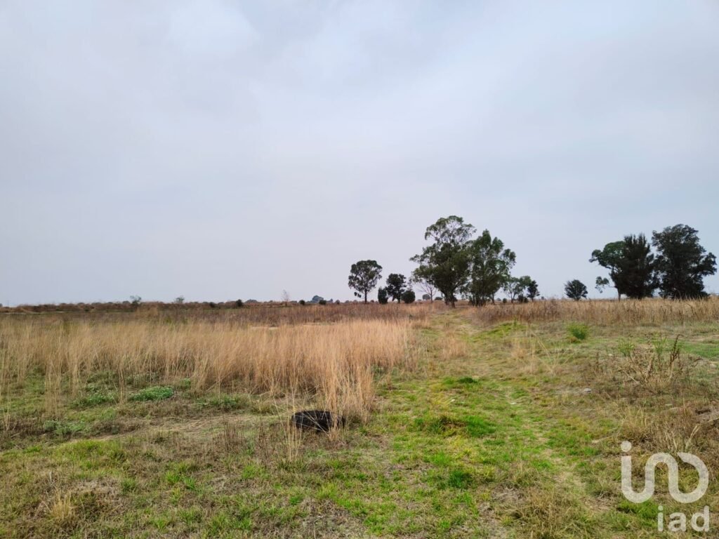 TERRENO EN VENTA TEXCOCO CERCA DEL AEROPUERTO CDMX