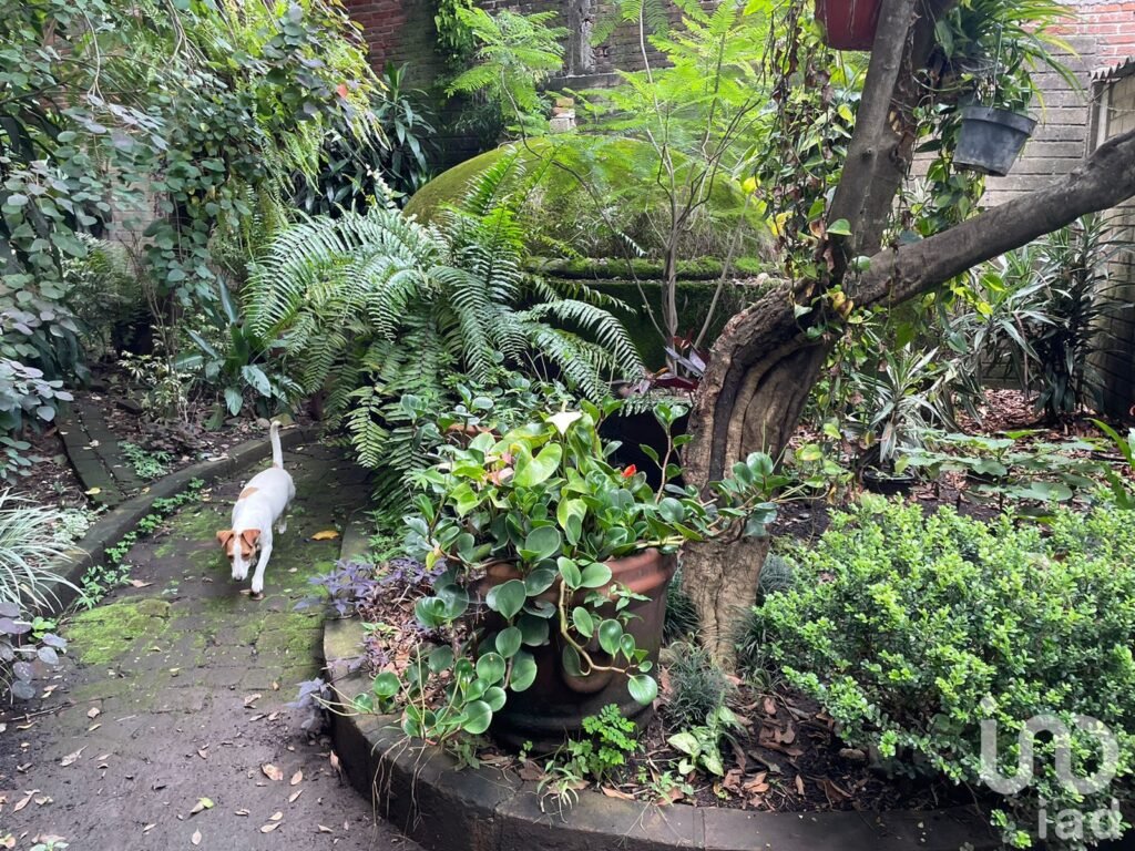 VENTA DE TERRENO ZONA DORADA , CUERNAVACA MORELOS