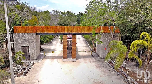 TERRENOS EN VENTA EN  CHEMUYIL, TULUM