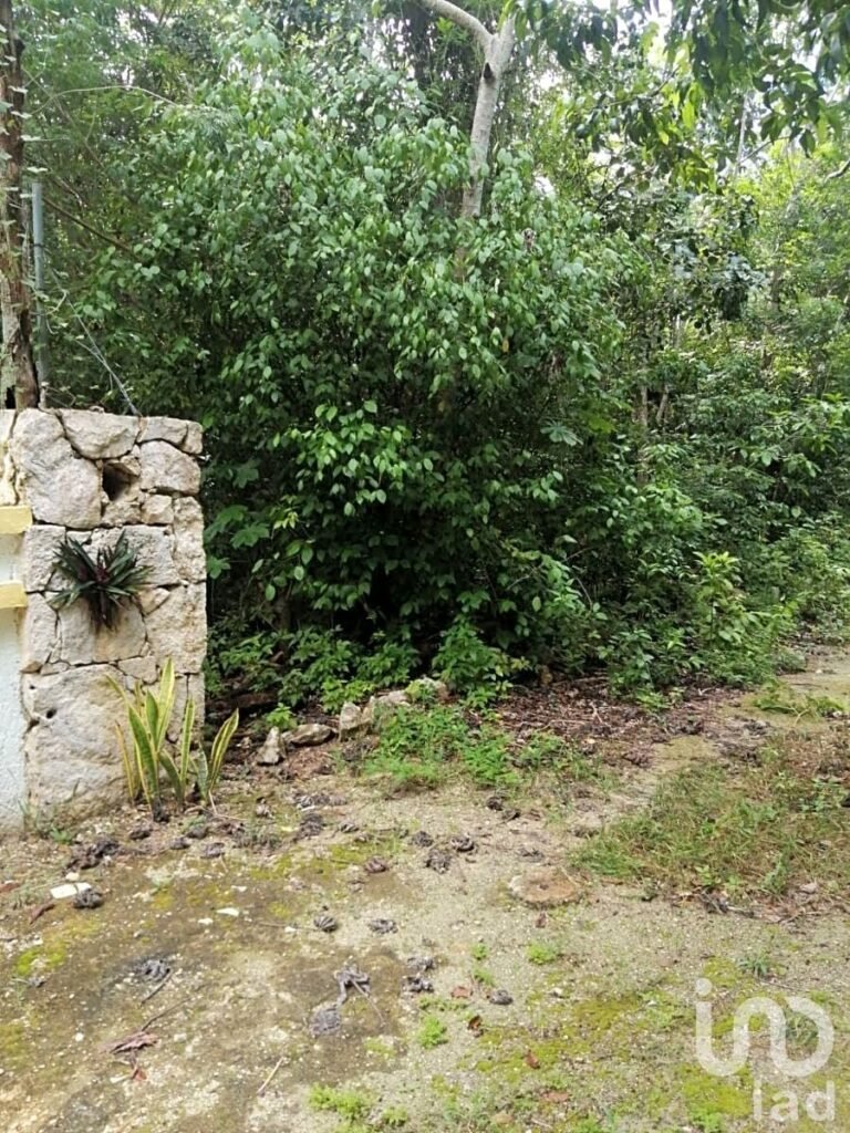 TERRENOS EN VENTA EN  CHEMUYIL, TULUM
