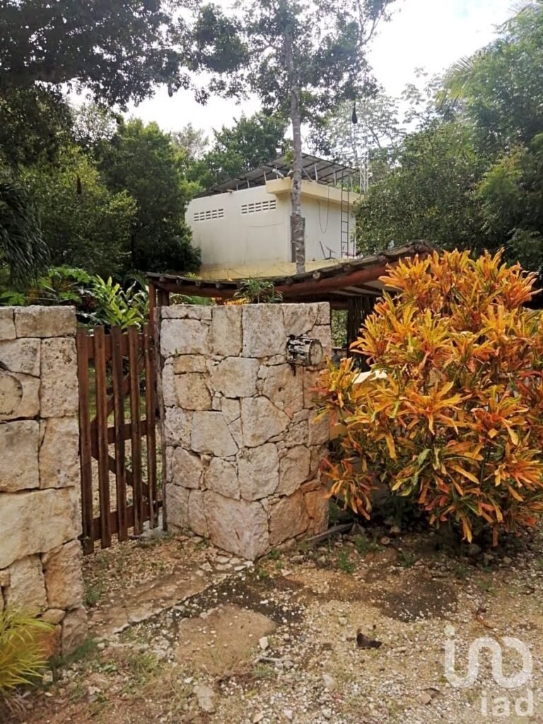 TERRENOS EN VENTA EN  CHEMUYIL, TULUM