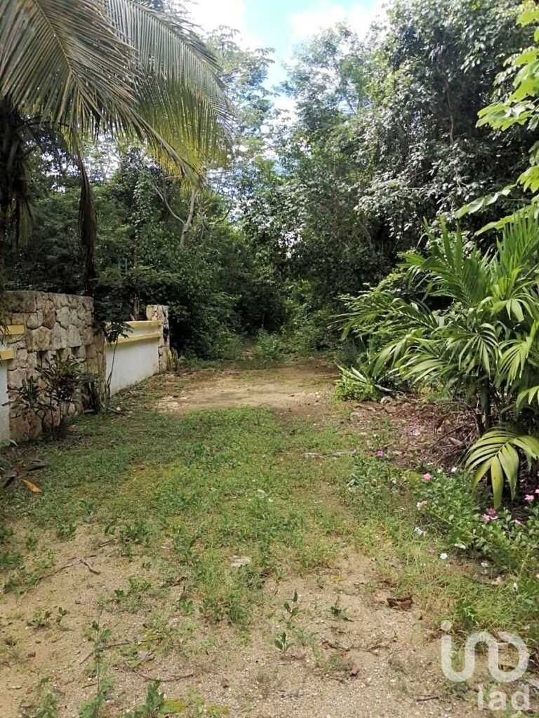 TERRENOS EN VENTA EN  CHEMUYIL, TULUM