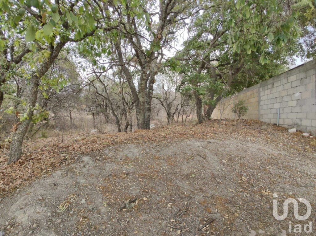 Terreno en Venta en Haras del Bosque